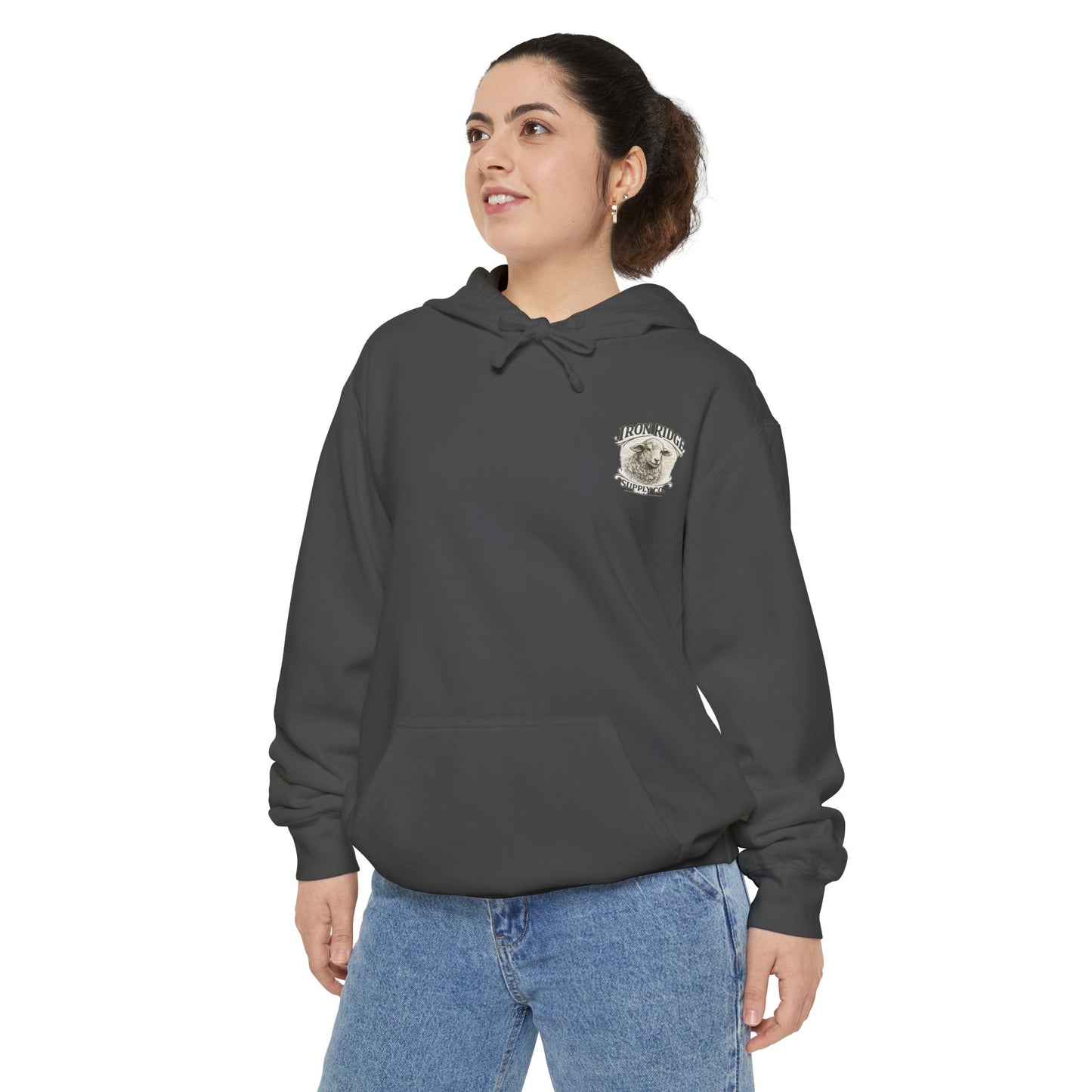 Christian Hoodie — “The Lord Is My Shepherd” Psalm 23 Shepherd Design